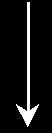 okor.jpg (1234 bytes)